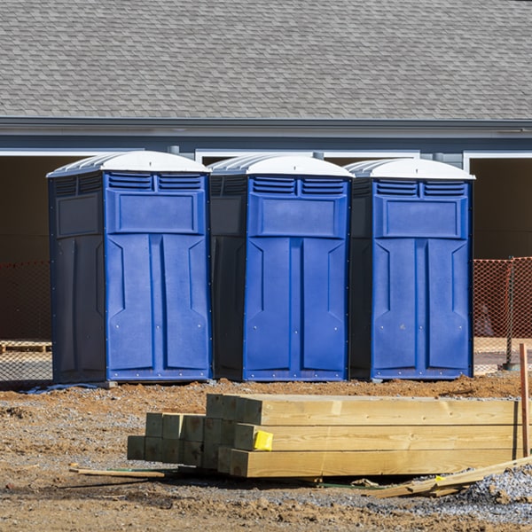 how can i report damages or issues with the porta potties during my rental period in Baldwin